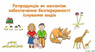 Біологія 10 клас Контроль знань з теми "Репродукція і розвиток"