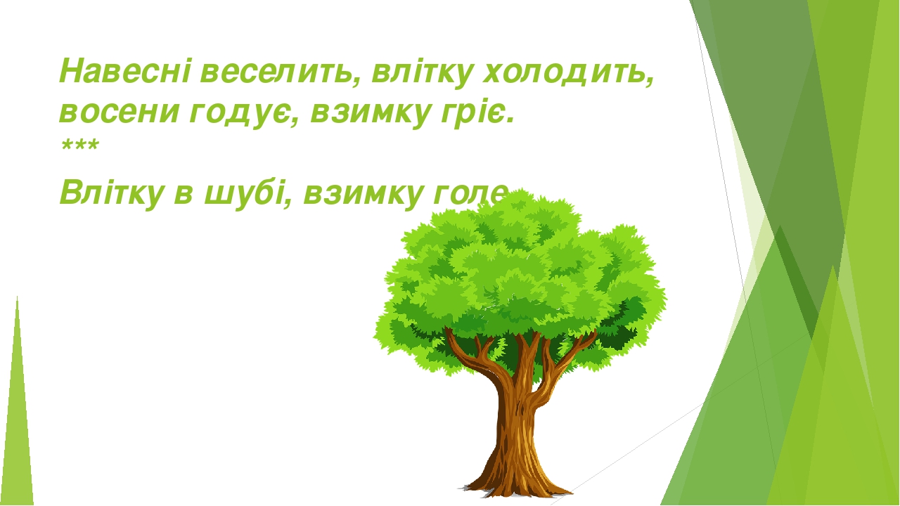 Презентація "Загадки про природу"