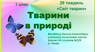 Презентація "Тварини в природі". Тиждень 29. Світ тварин