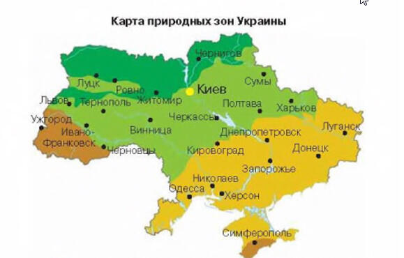 Зоны украины видео. Карта природных зон Украины.