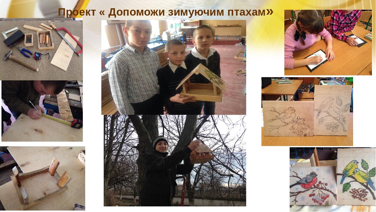 Проект « Допоможи зимуючим птахам»