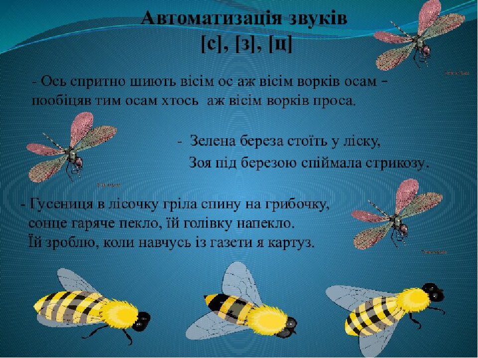 Картинки для дітей комахи