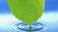 Презентація до уроку "Saving environment - our common mission"