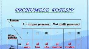 Subiectul : "Pronumele posesiv"