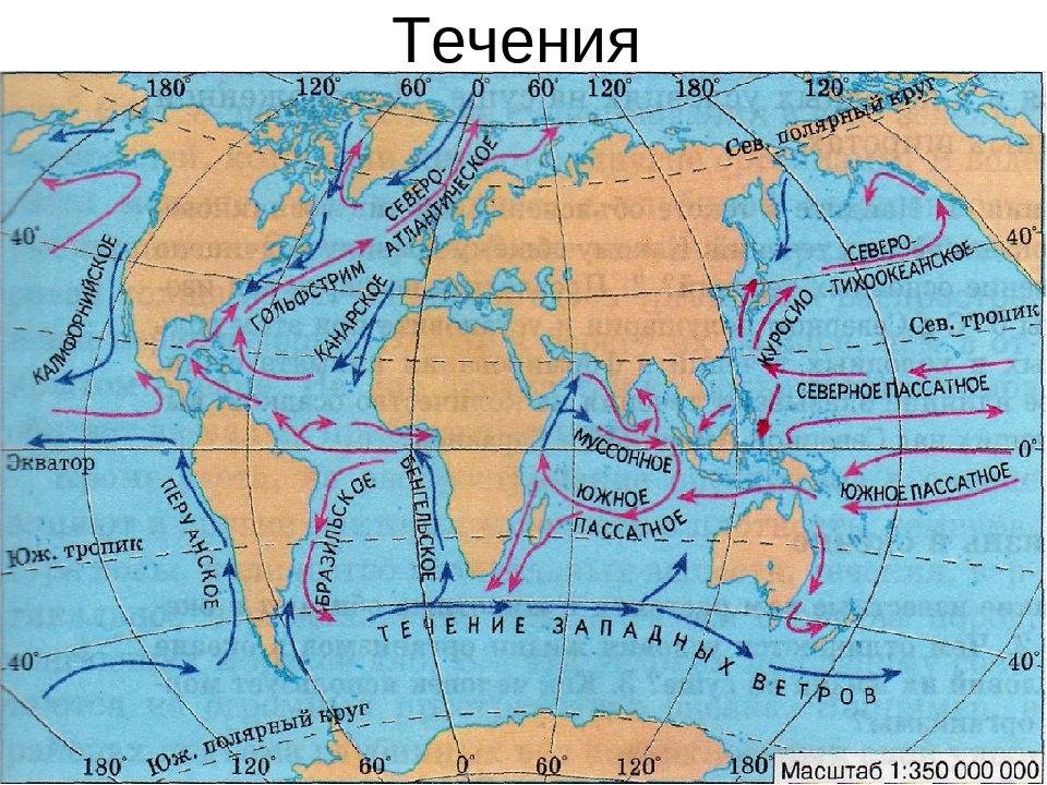 Внимательно рассмотрите схему океанических течений на карте океанов в учебнике проследите