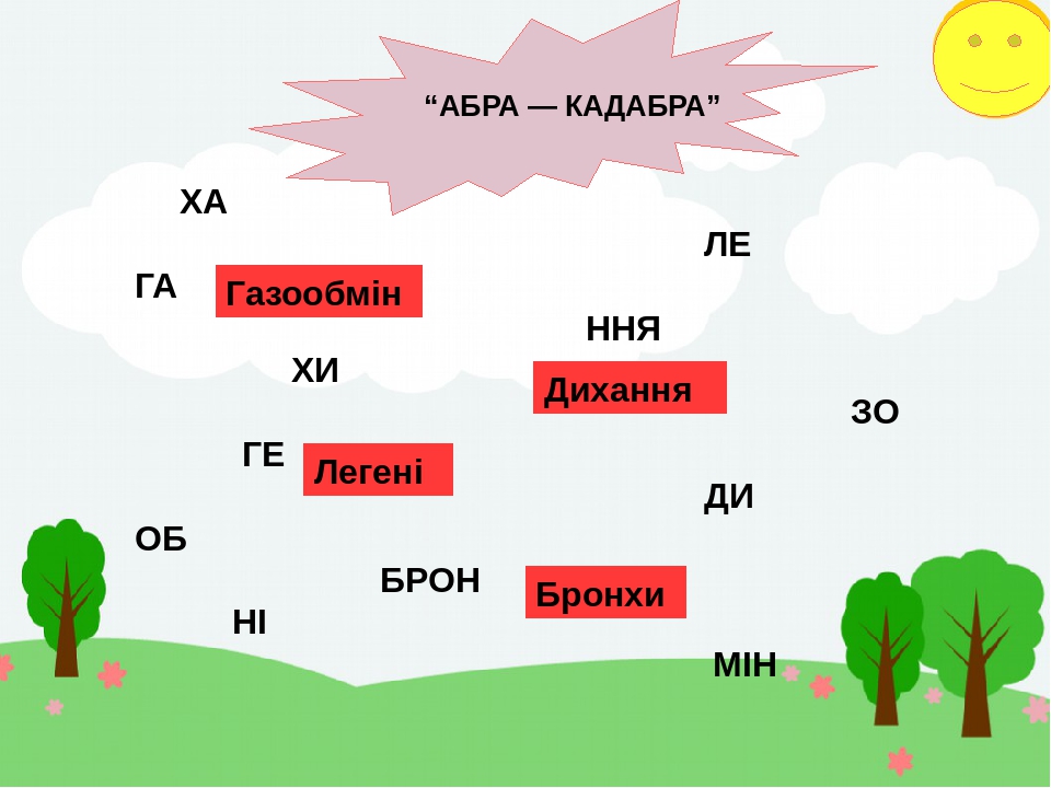 ХА ЛЕ ГА ННЯ ХИ ЗО ГЕ ДИ ОБ БРОН НІ МІН “АБРА — КАДАБРА” Легені Бронхи Газообмін Дихання