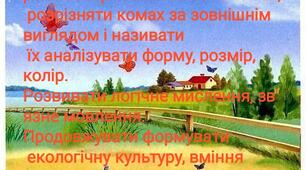 Дитина у природному довкіллі "Комахи"