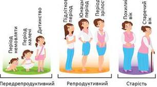 Постембріональний розвиток