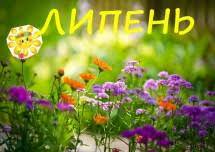 Мрійники: Місяць липень - середина літа