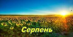 Цьогорічний серпень – один із найбільш посушливих за останні 70 ...