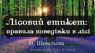 Лісовий етикет:  правила поведінки в лісі для дітей