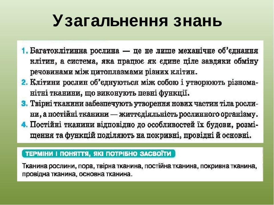 Узагальнення знань