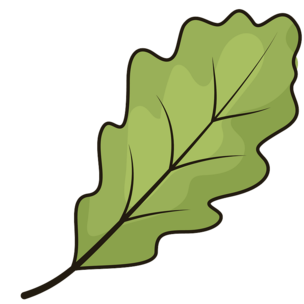 02000sxi-474d-345x345.png