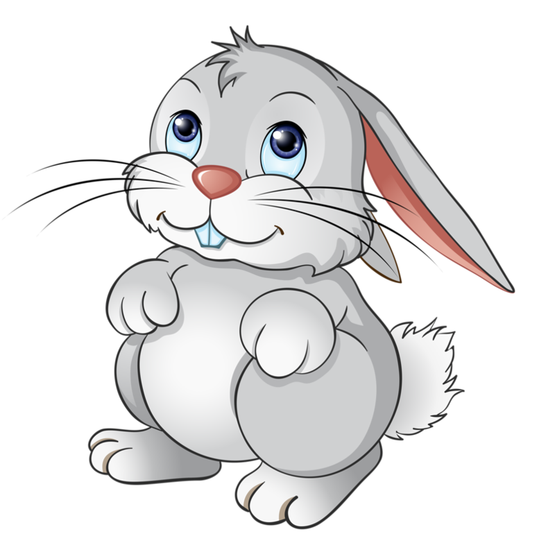 02000szu-9f43-777x796.png