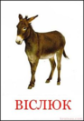 02000t4k-df44-93x133.png