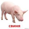 02000t5b-63b7-122x122.png
