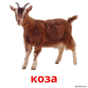 02000t5o-1c0a-110x110.png