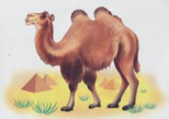 02000t60-42c0-154x108.png