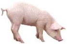 02000t6l-7245-139x92.png