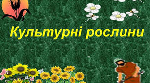 Урок ЯДС  "Яку користь приносять культурні рослини людям?"