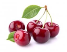 02000v0u-19d3-140x108.png