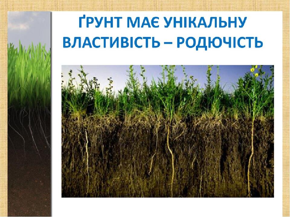Презентація "Грунт. Склад грунту" . | Інтерактивні матеріали ...