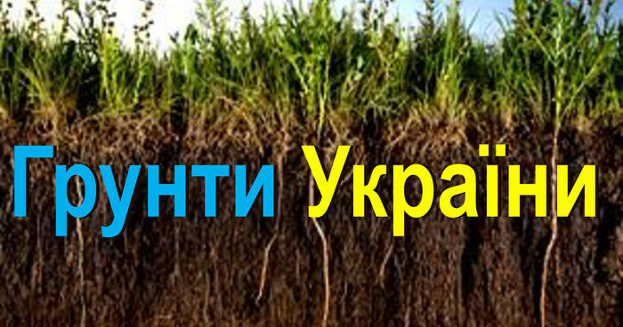 Презентація "Грунт. Склад грунту" . | Інтерактивні матеріали ...