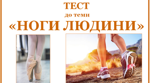 Ноги людини
