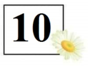02000xaw-4570-128x96.png
