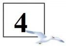 02000xbb-99ce-136x96.png