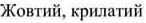 02000xki-cf39.png