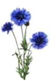 02000xnj-b1d1-56x81.png