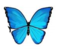 02000xnk-0ee7-58x50.png
