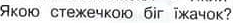 02000xr9-565d.png