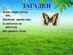 02000y71-3636-289x217.jpg