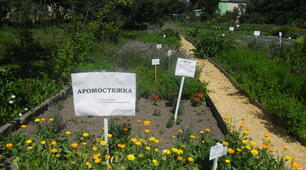 Створення аромостежки "Зелена аптека" на навчально-дослідній земельній ділянці