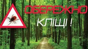 Обережно, кліщі! Як захистити дитину від небезпеки?