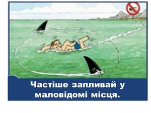 02000z14-5d0f-300x225.jpg