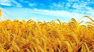 Вислови відомих людей про Україну
