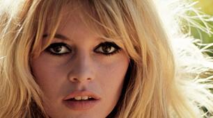 Картотека відомих людей. Випуск №126. Цікаві факти про Бриджит Бардо
