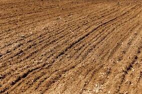 02000zfw-fdd2-283x187.jpg