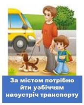 02000zi5-96e1-172x214.jpg