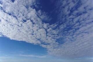 0200100n-7031-362x241.jpg
