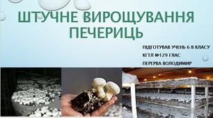 Презентація з біології 6 клас - Штучне вирощування грибів