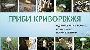 Презентація з біології 6 клас - Гриби Криворіжжя