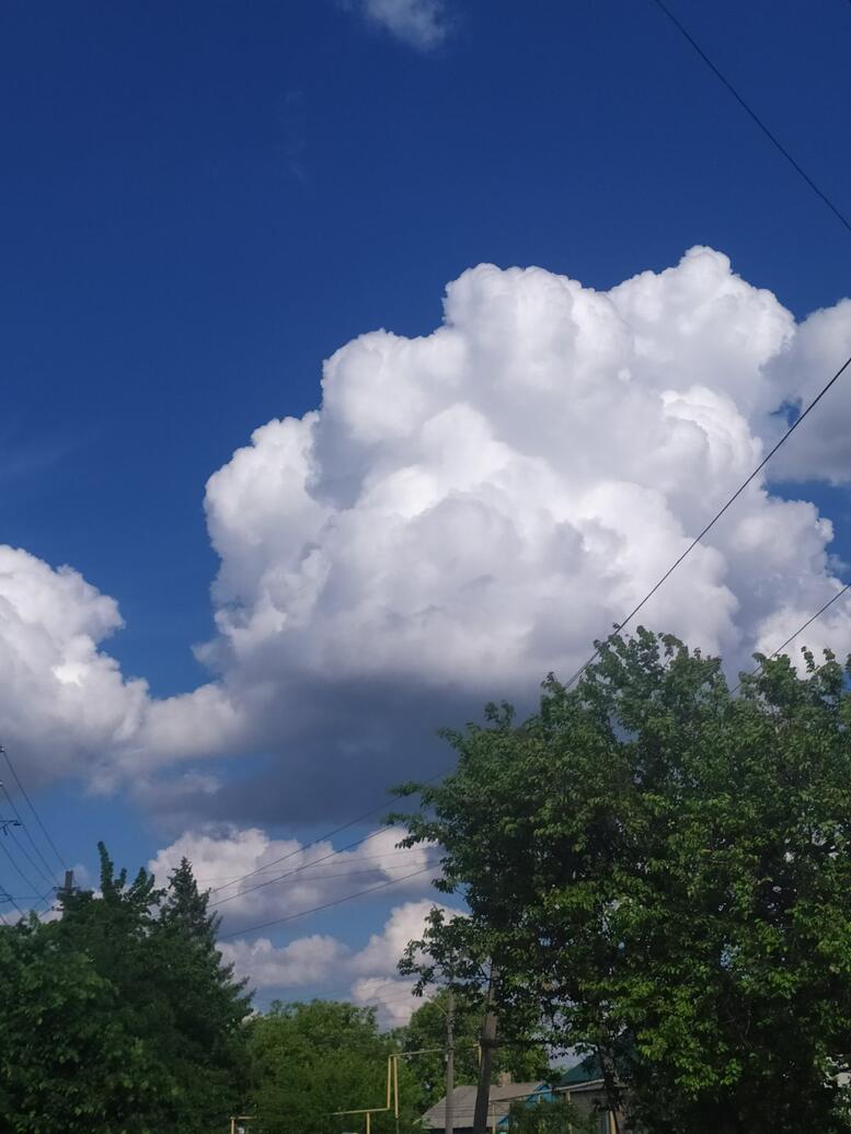 020012tx-0833-777x1036.jpg