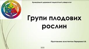 Презентація - Групи плодових рослин
