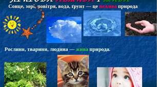 Конспект уроку з ЯДС « Моє довкілля».« Світ природи. Жива і нежива природа».