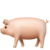020016q8-988a.png
