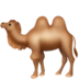 020016qg-9650.png